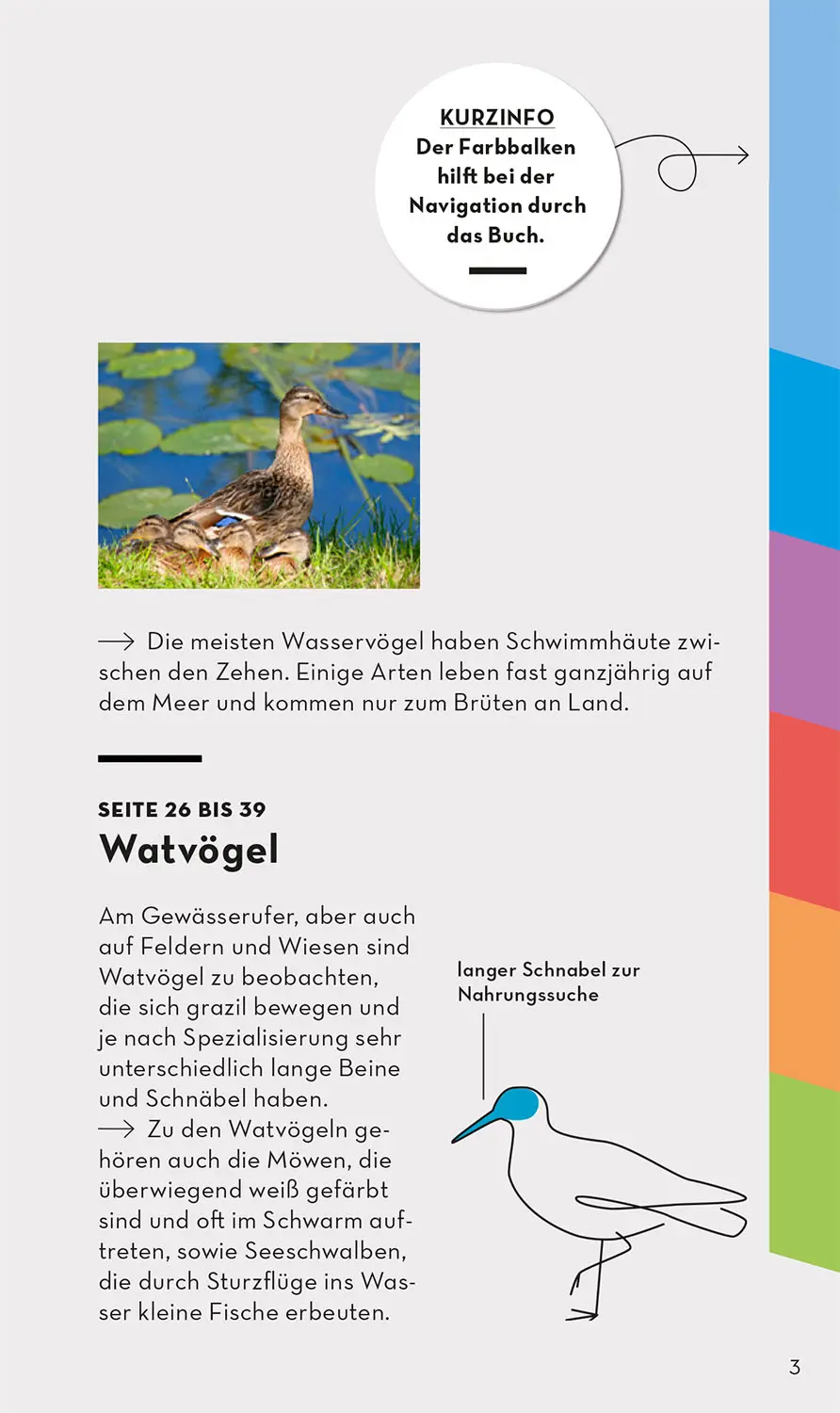 Buch "Basic Vögel – 123 Arten für deine Jackentasche" kaufen