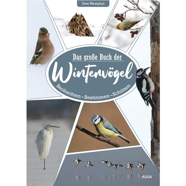 Buch "Das große Buch der Wintervögel" kaufen
