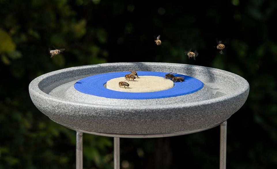 Insektenstation mit 5 Futterschwämmen kaufen