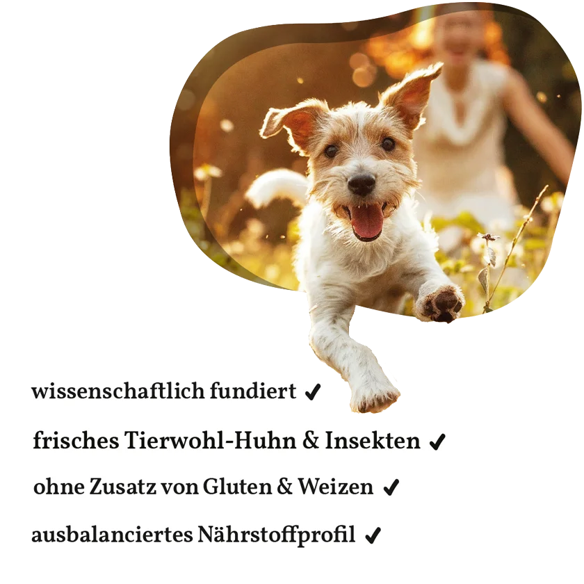 Fellows Leckermäulchen Trockenfutter kaufen