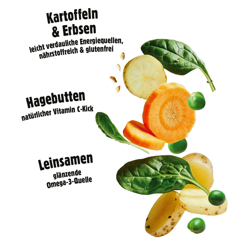 Fellows Entspannter Genießer Trockenfutter kaufen