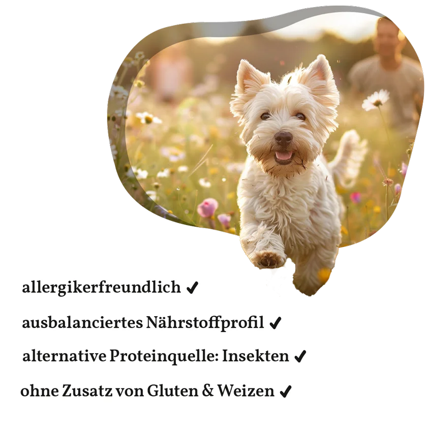 Fellows Treuer Begleiter Trockenfutter, Bild 7