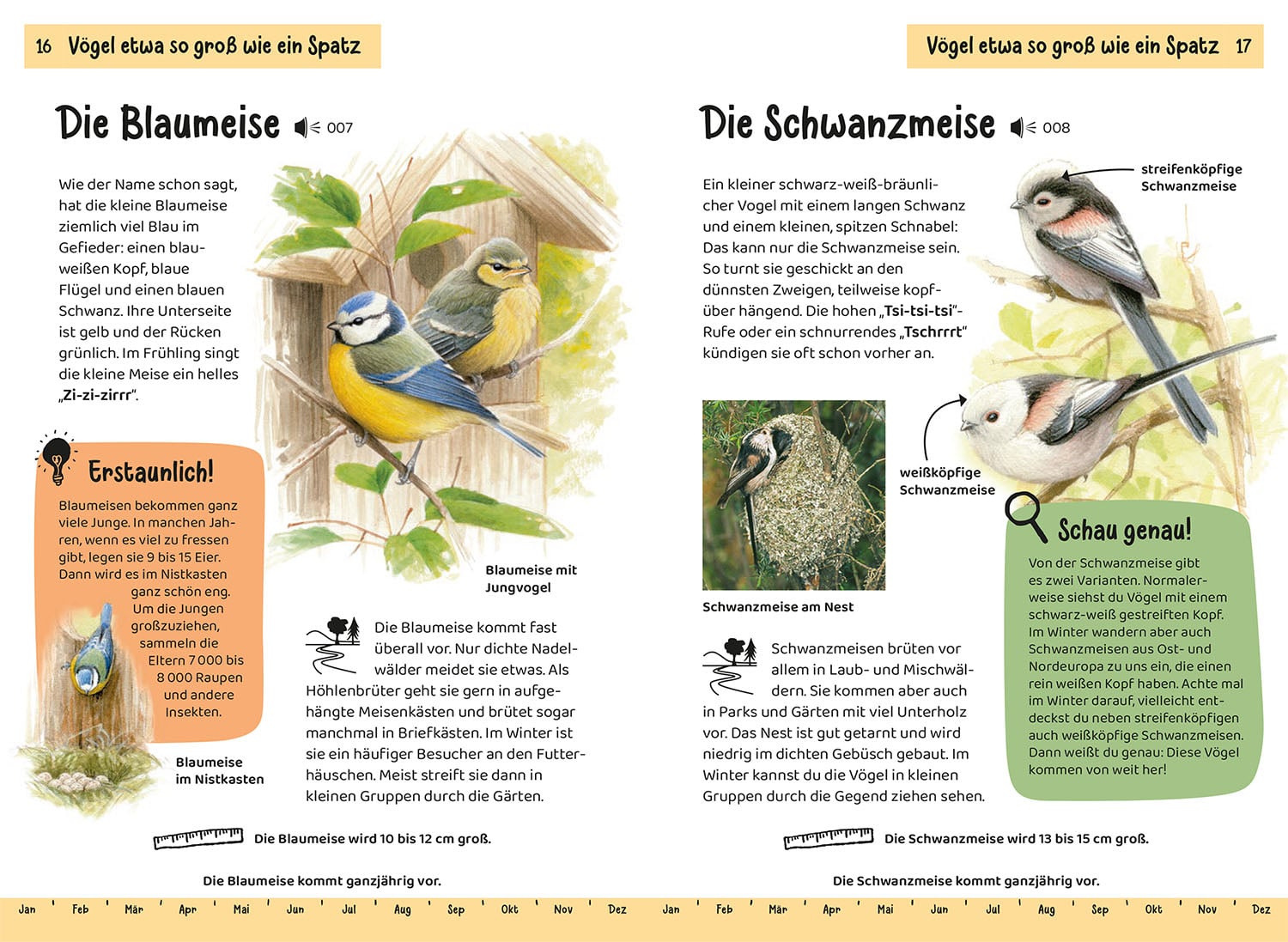 Buch "Welcher Gartenvogel ist das?" (Naturkundebuch für Kinder), Bild 5