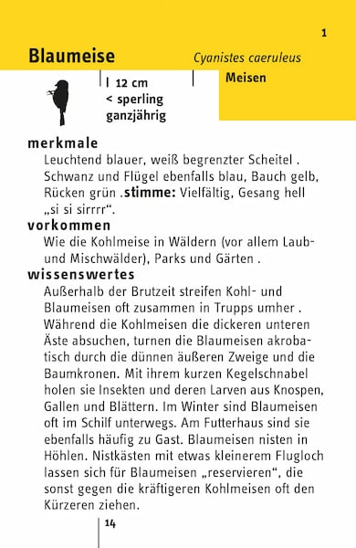 Buch "Hier piept's! 50 gefiederte Stars und ihre Songs" kaufen