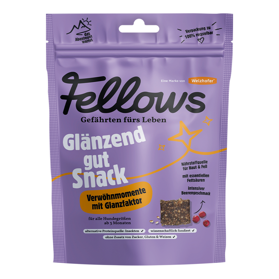 Fellows Glänzend gut Snack 125 g