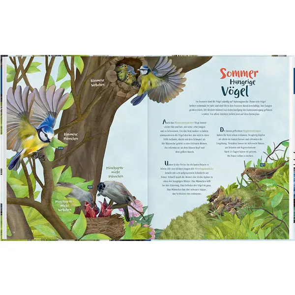 Buch "Mein Vogelbuch – Mit unseren Vögeln durch das Jahr" kaufen