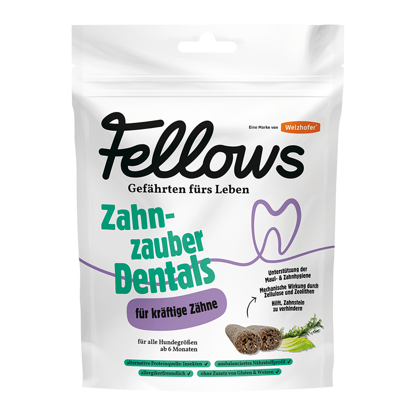 Fellows Zahnzauber Dentals 320 g