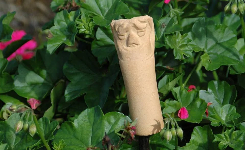 Ohrwurmhaus CeraNatur®, 3er Set kaufen