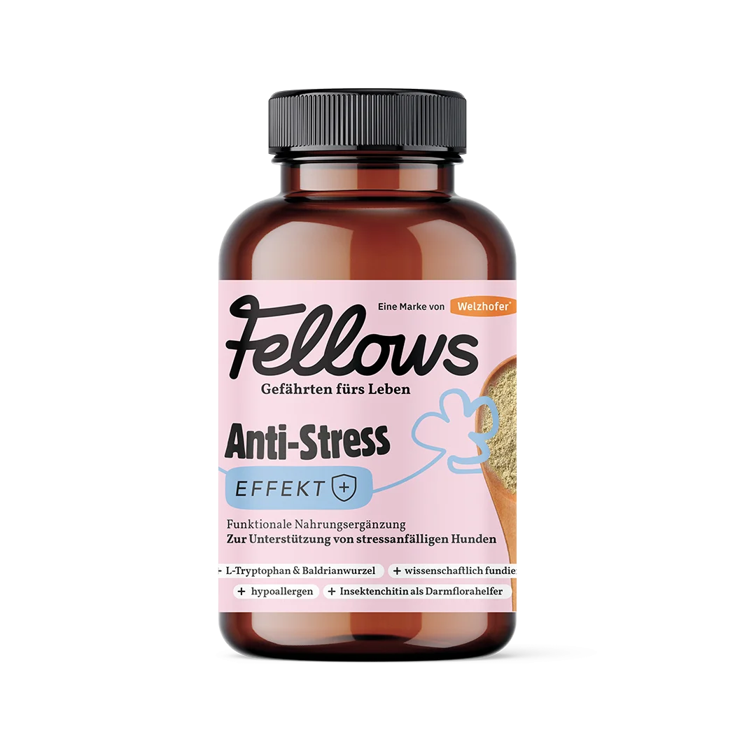 Fellows Anti-Stress Effekt Supplement 200 g