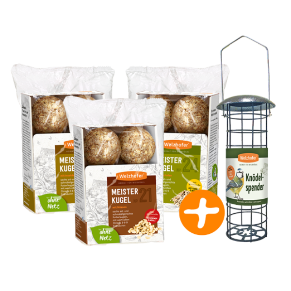 3 x Meisterkugeln + Knödelspender GRATIS kaufen