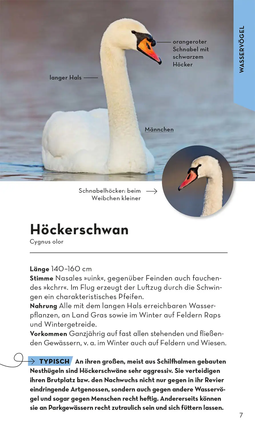 Buch "Basic Vögel – 123 Arten für deine Jackentasche" kaufen