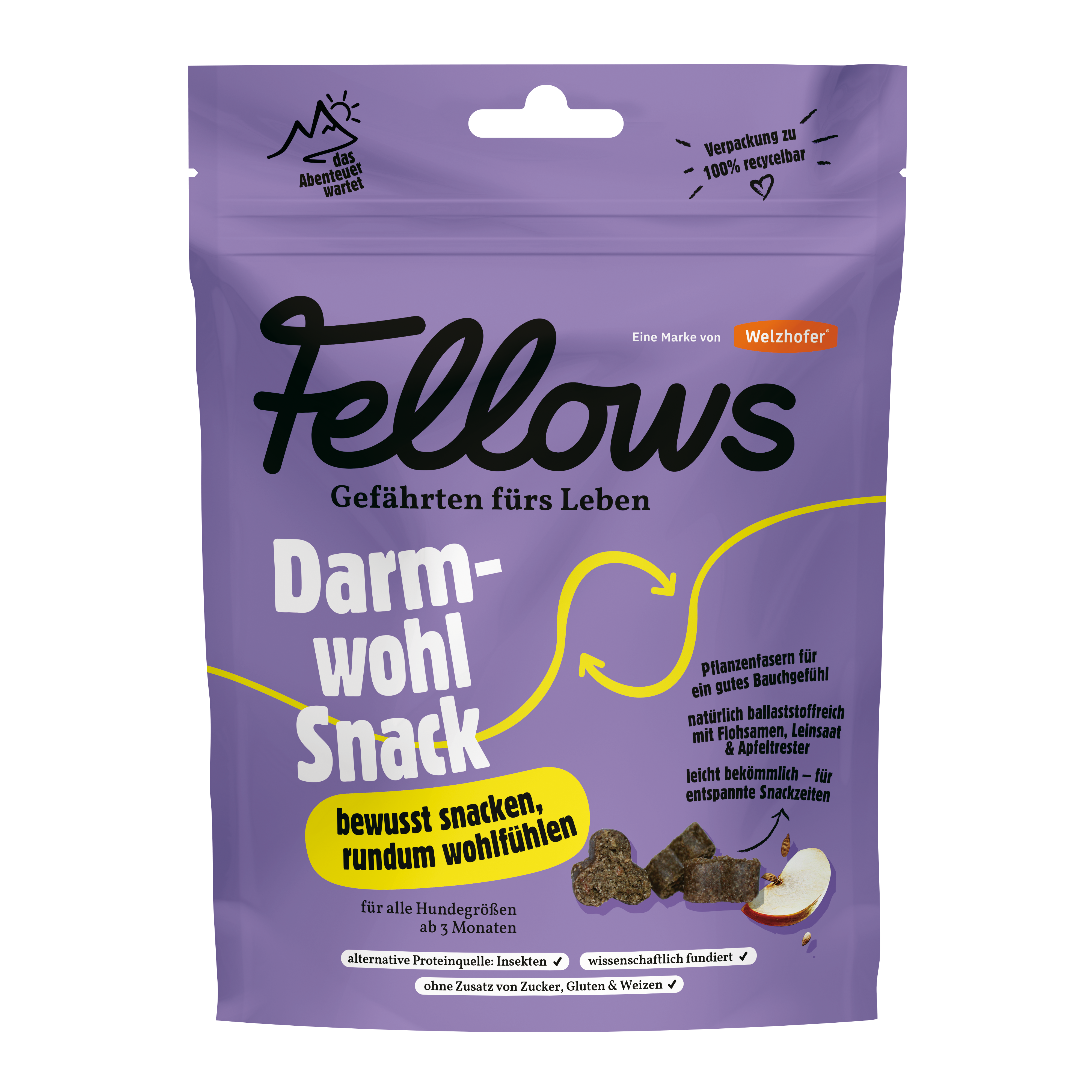 Fellows Darmwohl Snack 125 g
