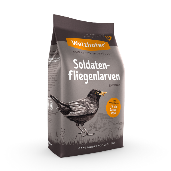 Welzhofer Soldatenfliegenlarven kaufen