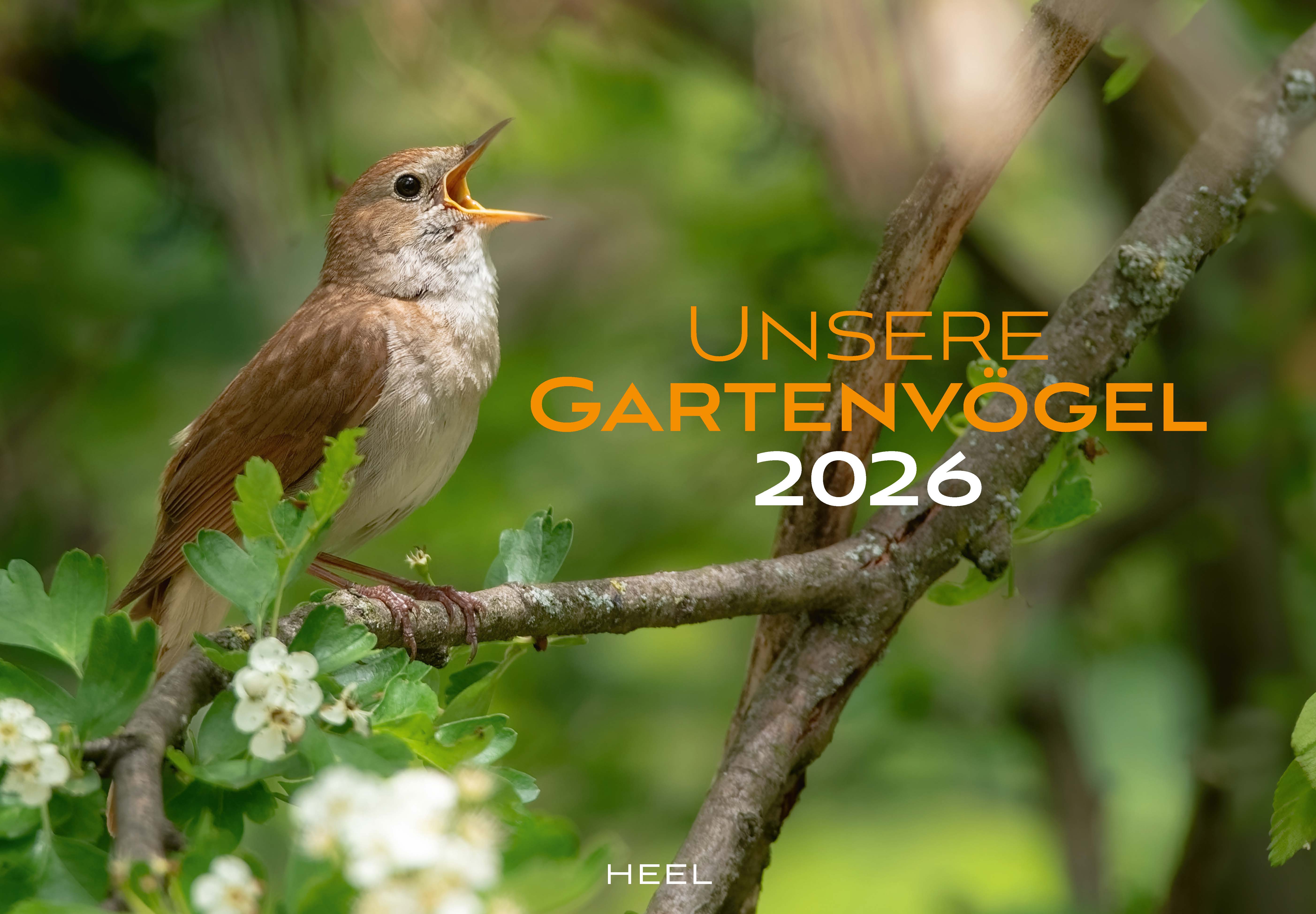 Kalender "Unsere Gartenvögel 2026"