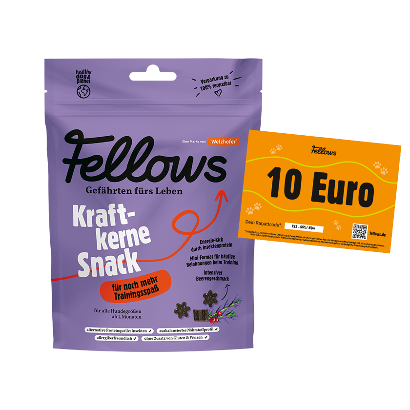 Fellows Kraftkerne Snack für Hunde 350g Prämie