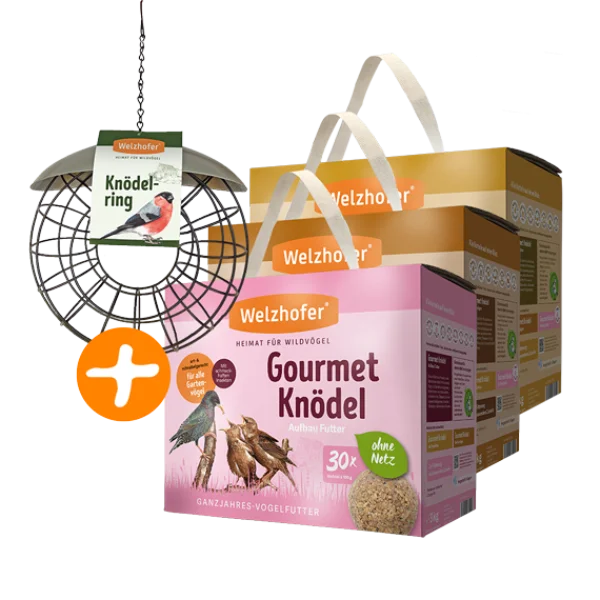 3 x 30er Gourmet Knödel ohne Netz + Knödelring GRATIS kaufen
