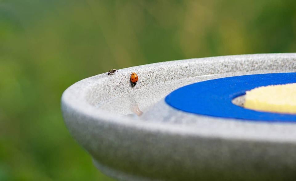 Insektenstation mit 5 Futterschwämmen kaufen