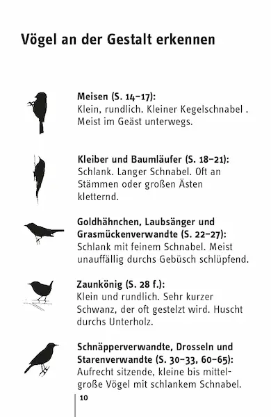 Buch "Hier piept's! 50 gefiederte Stars und ihre Songs" kaufen