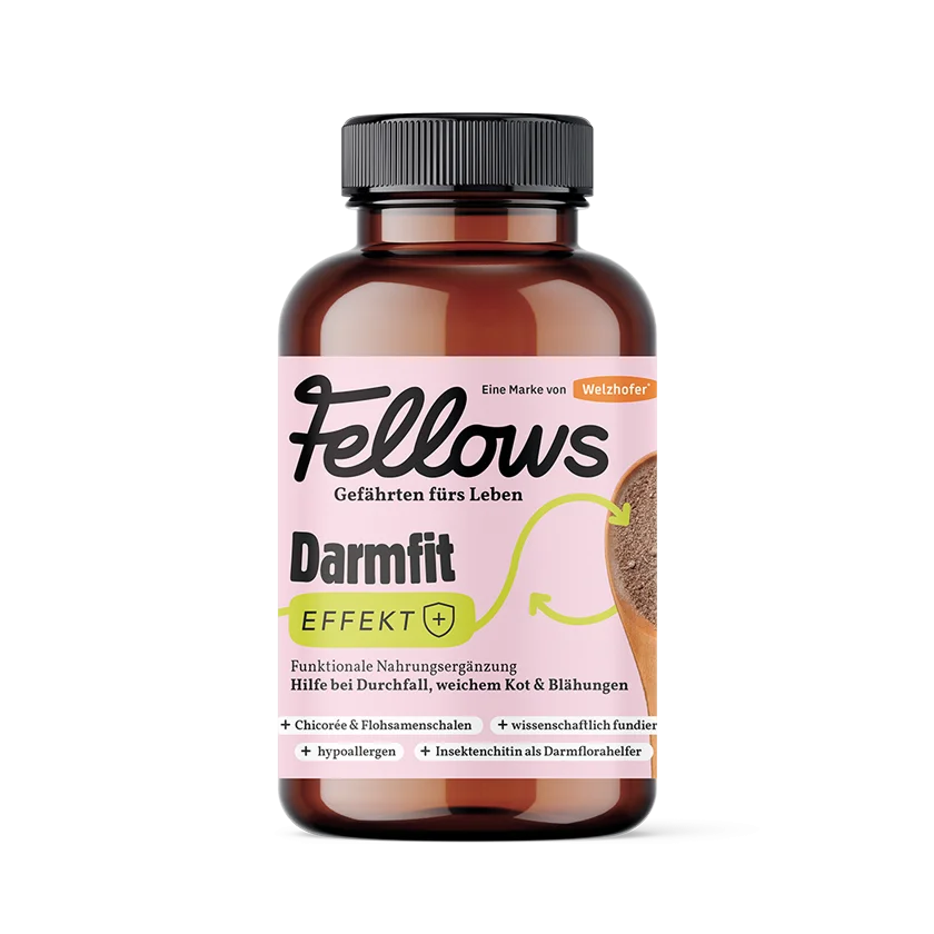 Fellows Darmfit Effekt Supplement 200 g 