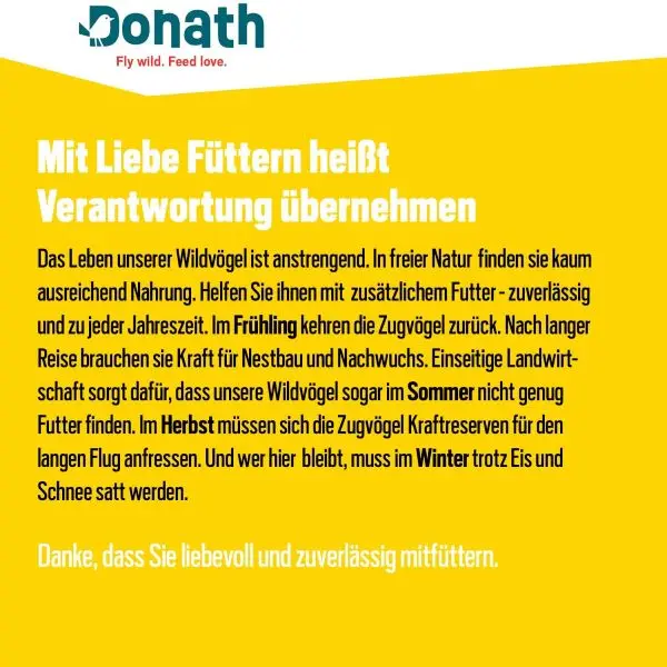 Energie-Spender geschälte Sonnenblumenkerne 500g kaufen