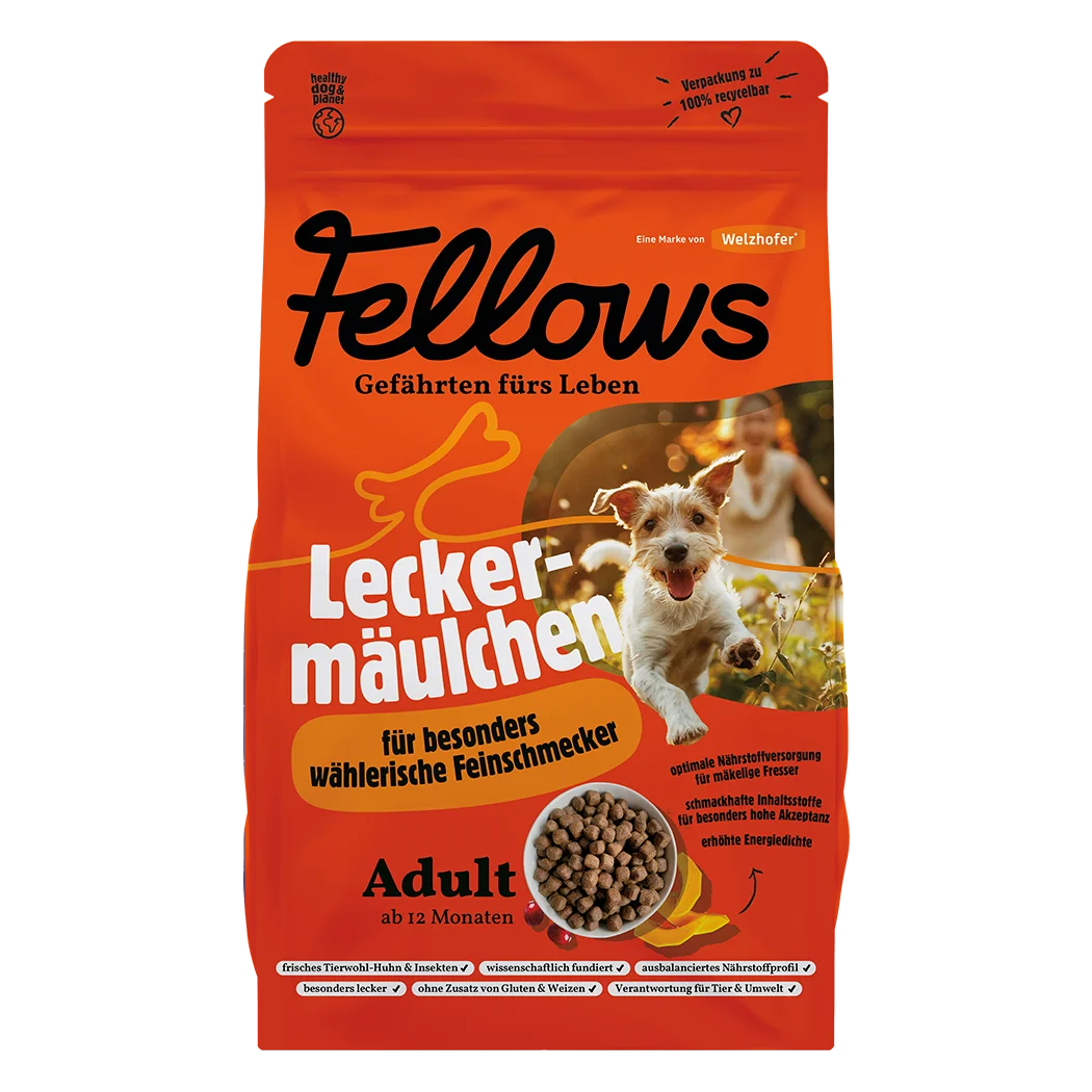 Fellows Leckermäulchen Trockenfutter kaufen