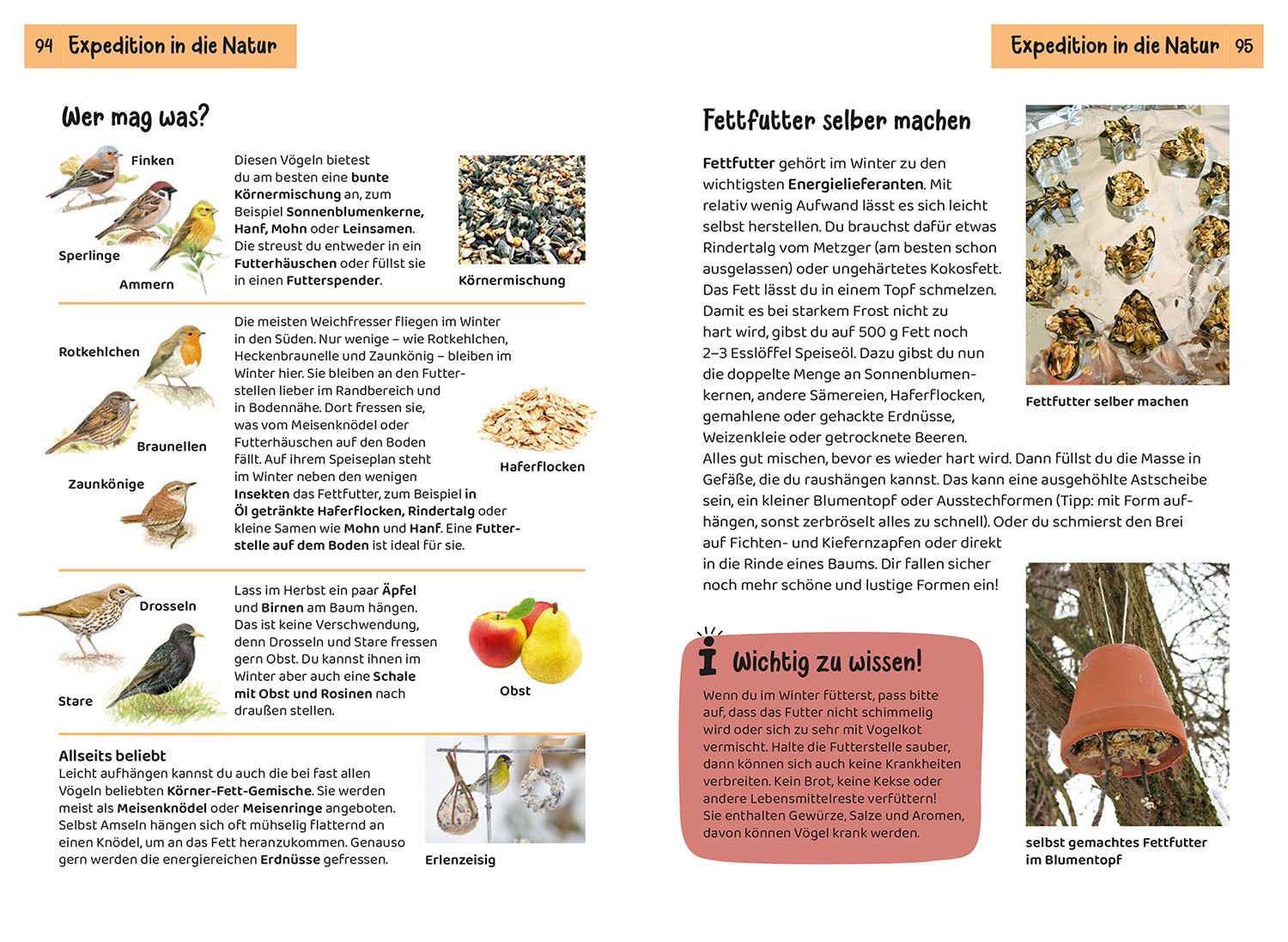 Buch "Welcher Gartenvogel ist das?" (Naturkundebuch für Kinder), Bild 6