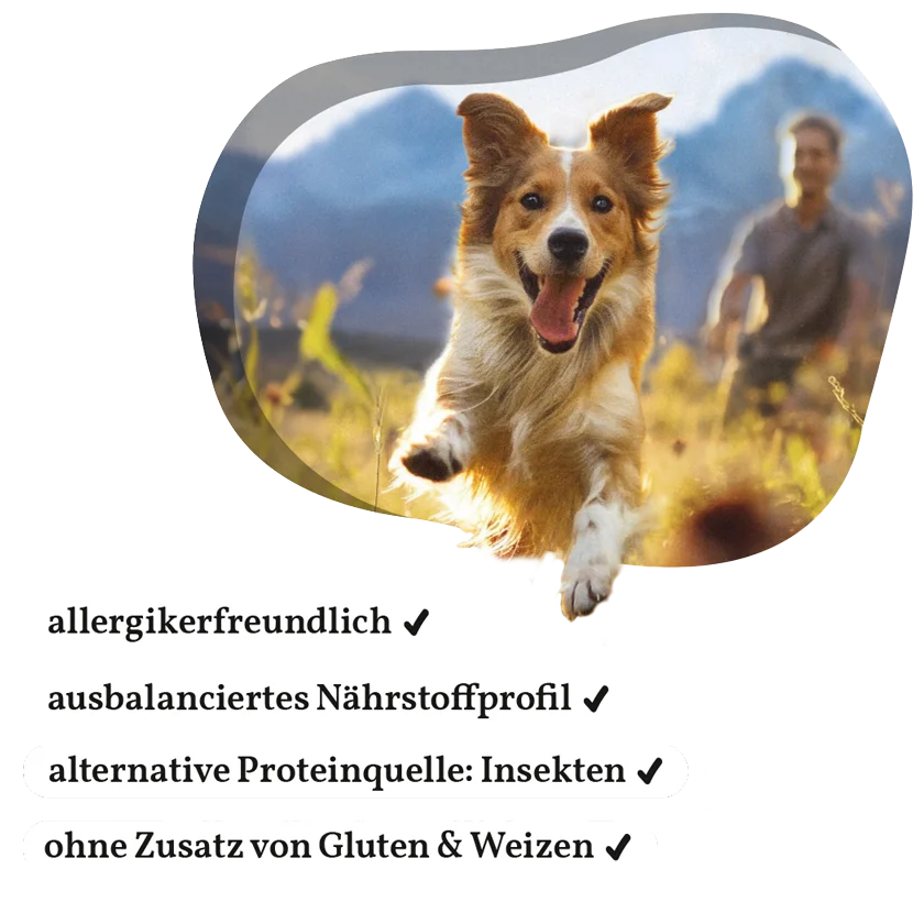 Fellows Gipfelstürmer Trockenfutter kaufen