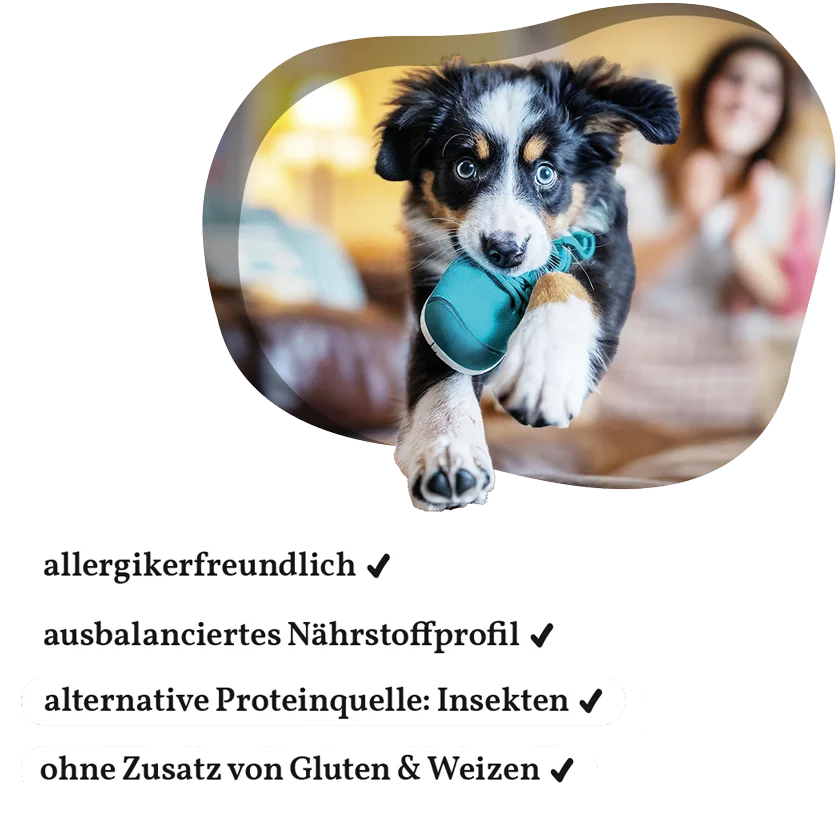 Fellows Großer Chaot Trockenfutter kaufen