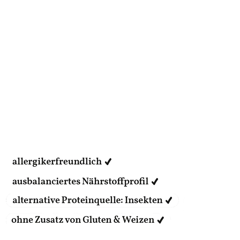 Fellows Kraftkerne Snack kaufen