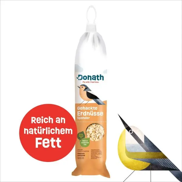 Energie-Spender Erdnüsse 500g kaufen