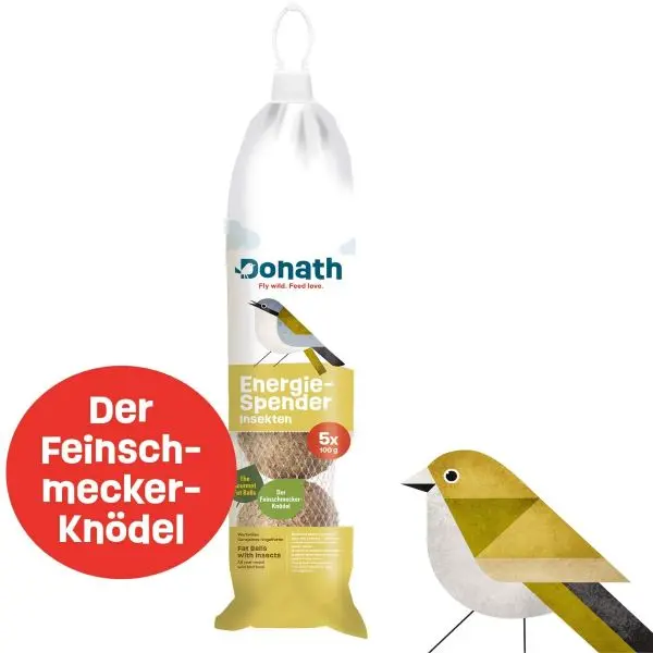 Energie-Spender Insekten 500g kaufen