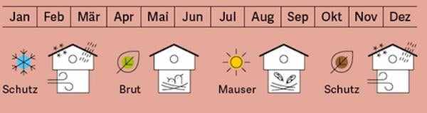 Welzhofer Nistkasten „Robbi“ – 28 mm Einflugloch kaufen