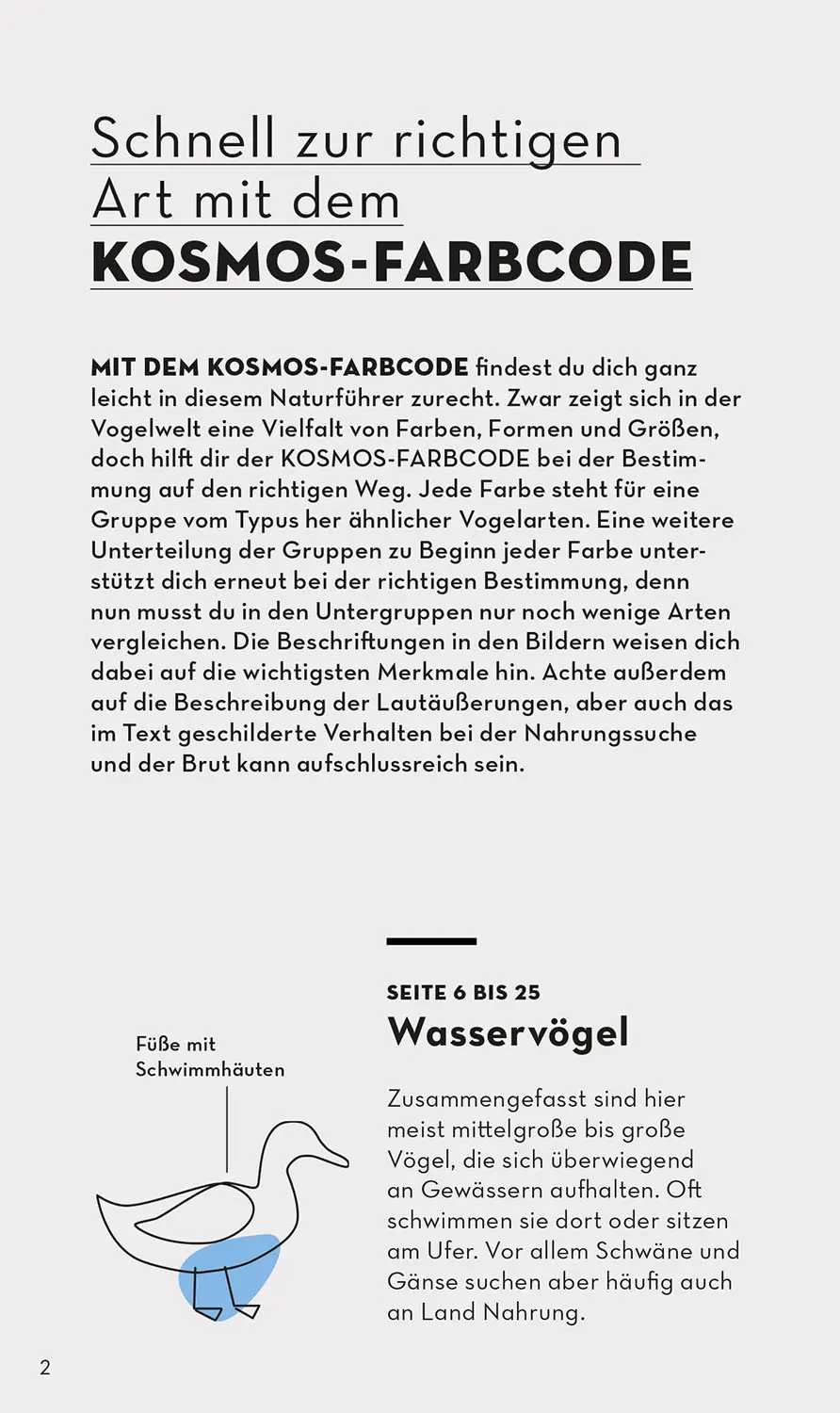 Buch "Basic Vögel – 123 Arten für deine Jackentasche" kaufen