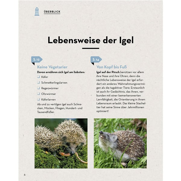 Buch "Igel im Garten – so kannst du ihnen helfen" kaufen