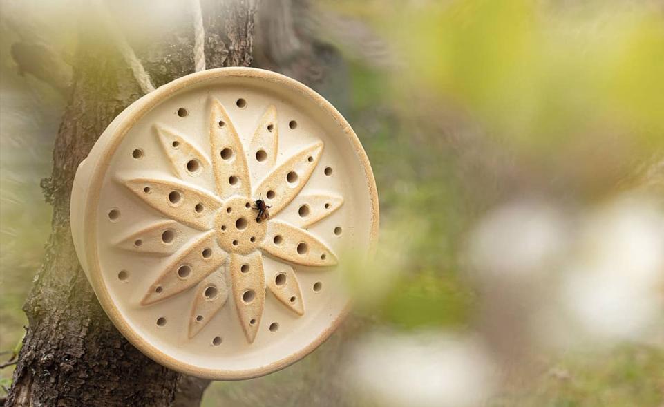Wildbienenhaus Blume CeraNatur® kaufen