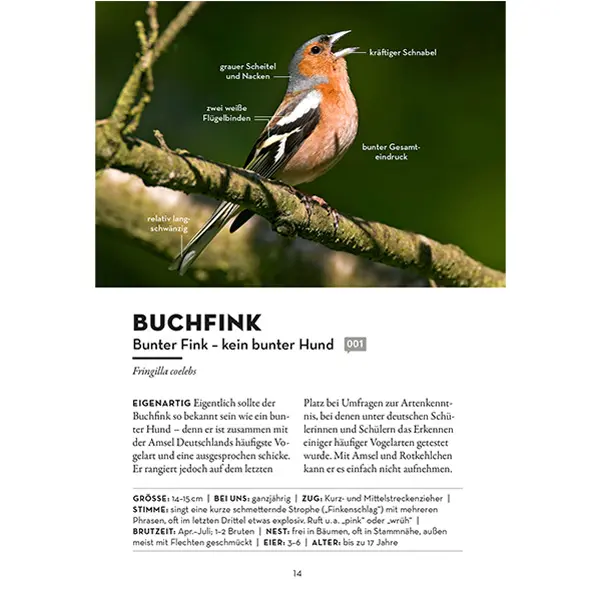 Buch "Der frühe Vogel kann mich mal!" kaufen