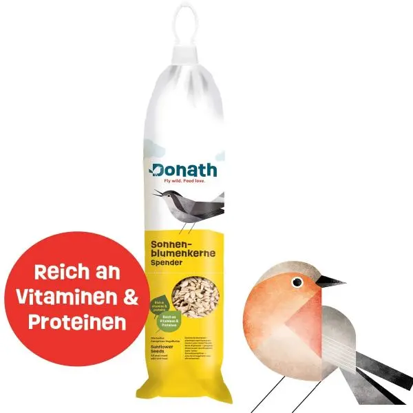 Energie-Spender geschälte Sonnenblumenkerne 500g kaufen