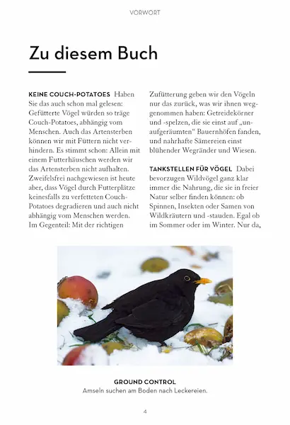 Buch "Meine Vogel-Snackbar" kaufen
