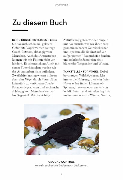 Buch "Meine Vogel-Snackbar" kaufen