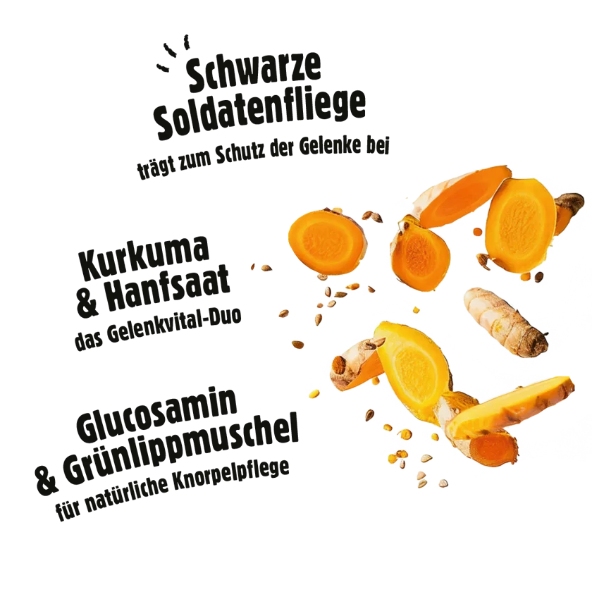 Fellows Gelenkglück Snack kaufen