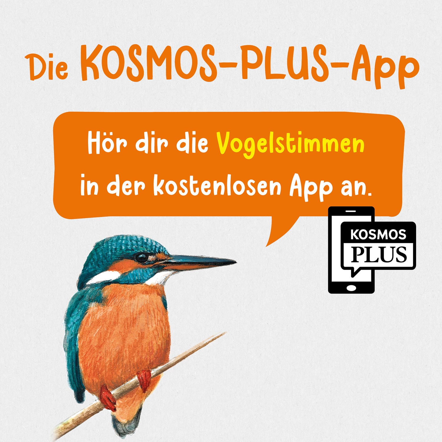Buch "Welcher Gartenvogel ist das?" (Naturkundebuch für Kinder), Bild 7