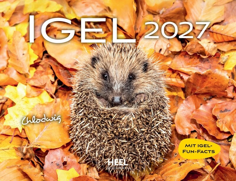 Kalender "Igel 2027" 