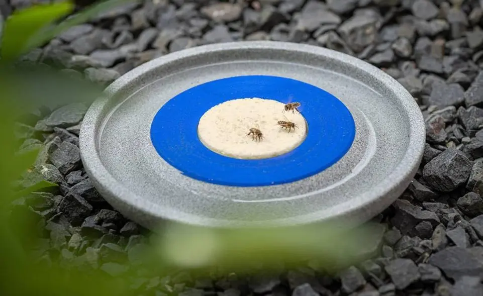 Insektenstation mit 5 Futterschwämmen kaufen