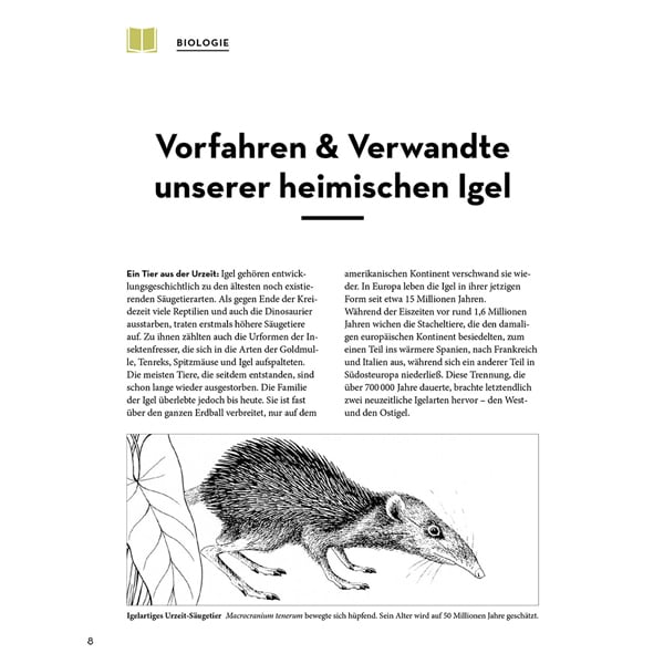 Buch "Igel im Garten – so kannst du ihnen helfen" kaufen