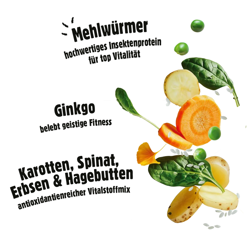 Fellows Treuer Begleiter Trockenfutter, Bild 5