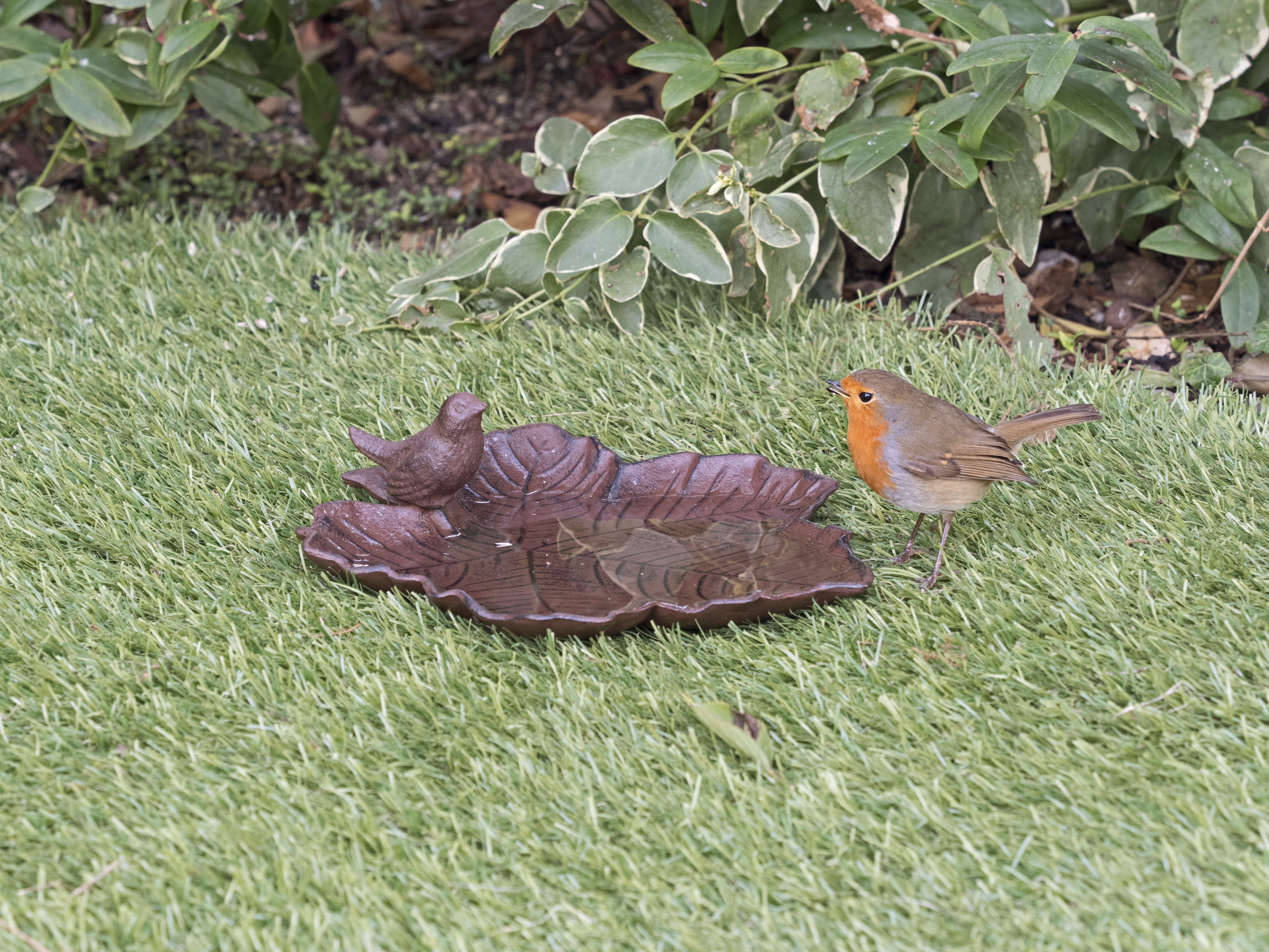 Vogeltränke Fallendes Blatt kaufen