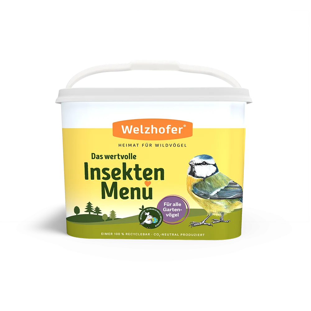 Welzhofer Insekten Menü kaufen