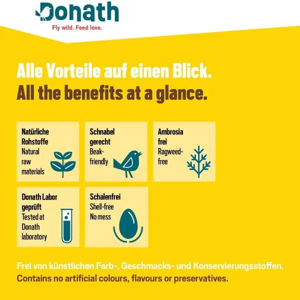 Energie-Spender geschälte Sonnenblumenkerne 500g kaufen