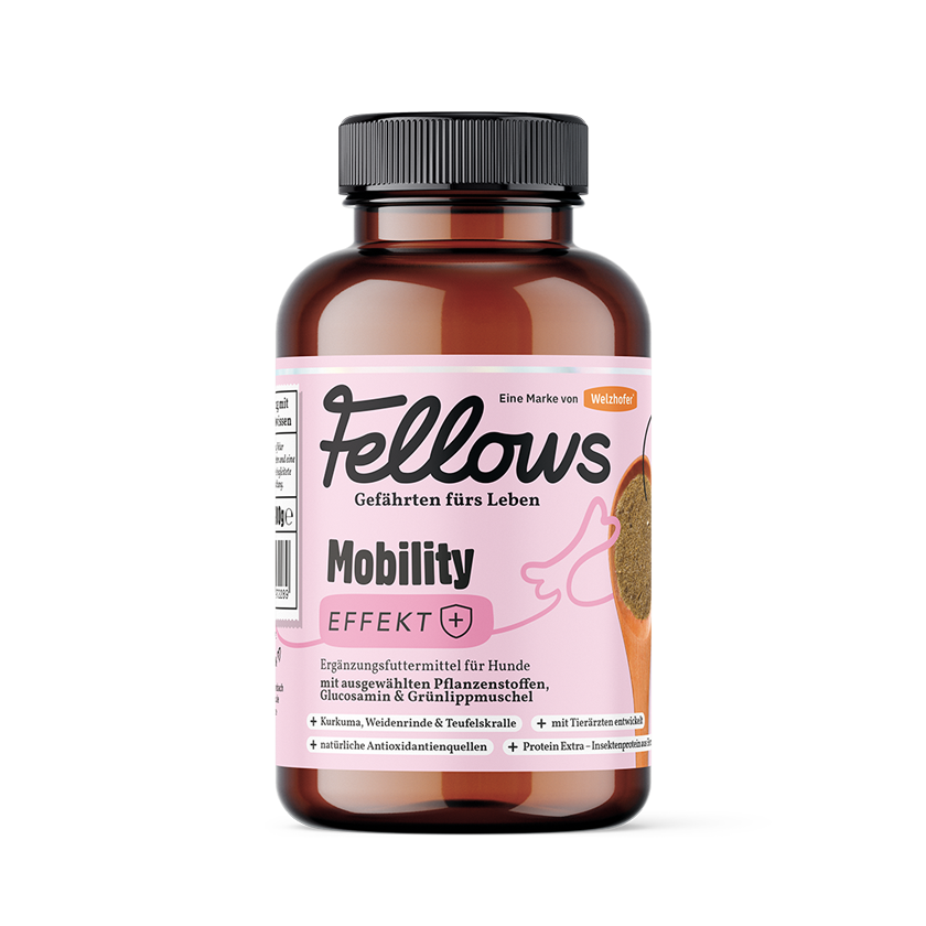 Fellows Mobility Effekt Supplement 200 g 