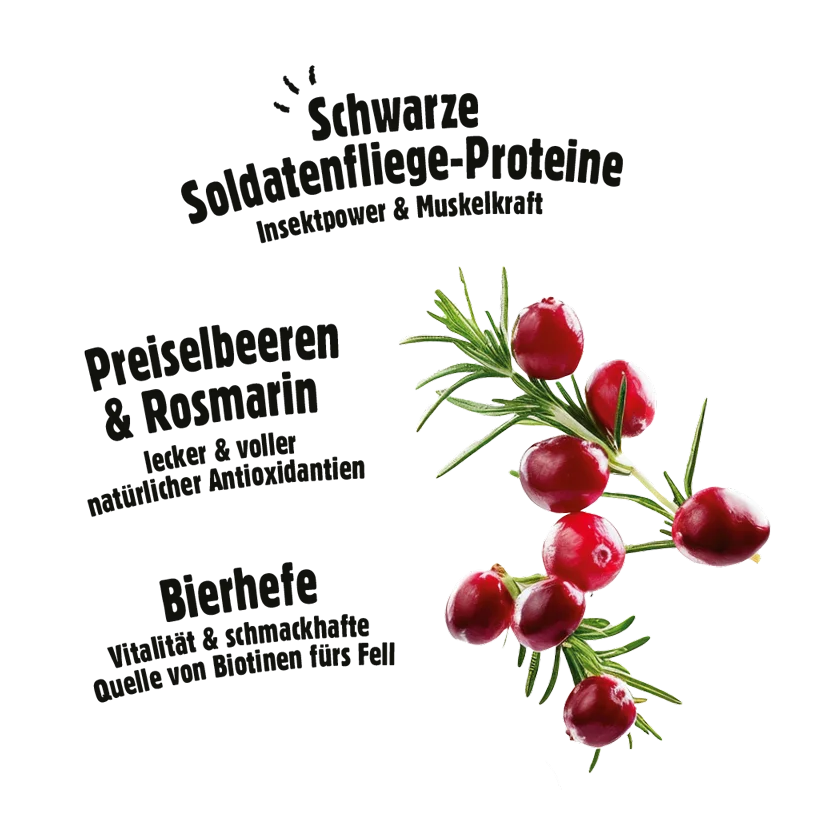 Fellows Kraftkerne Snack kaufen